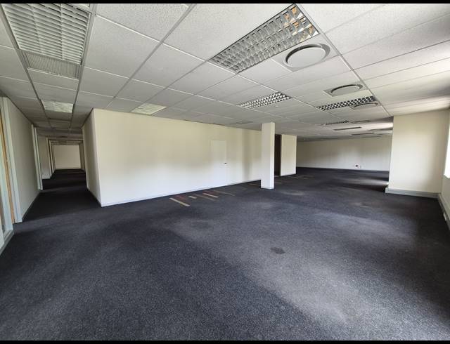 565M² OFFICE TO LET IN SANDTON CENTRAL